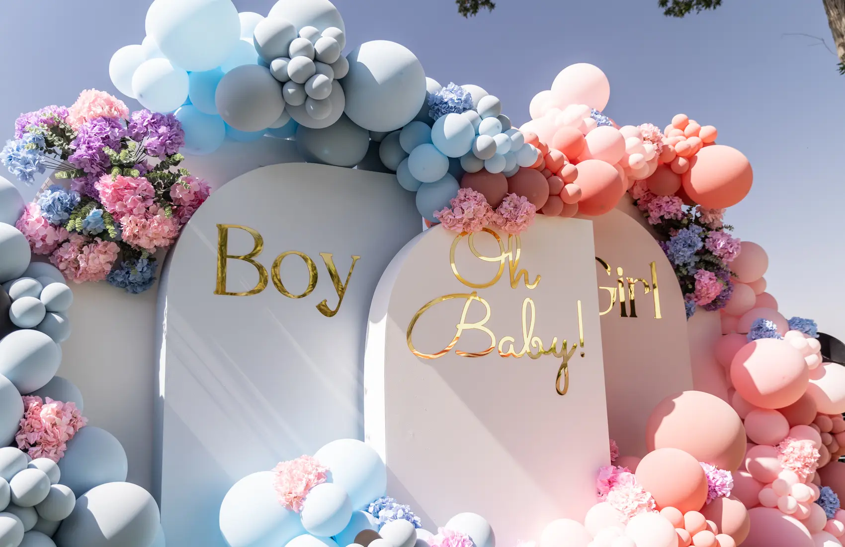 He or She? – A Grand Gender Reveal Photos