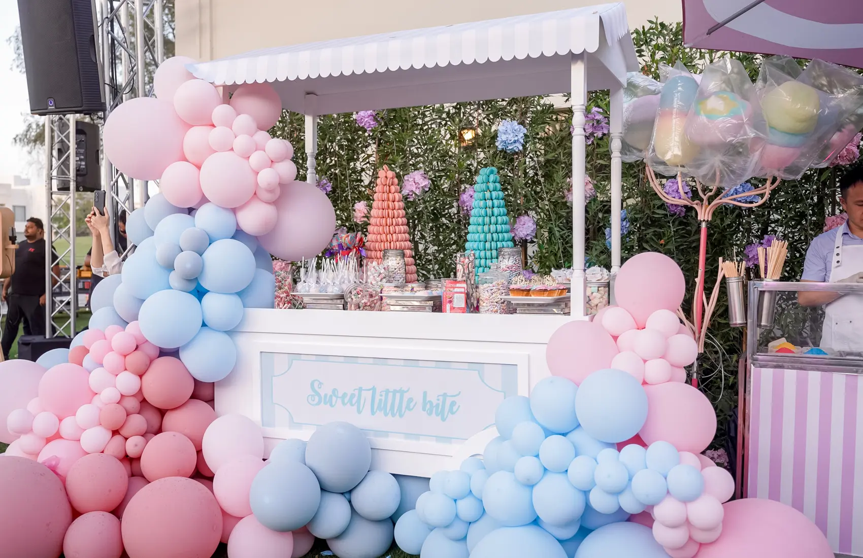 He or She? – A Grand Gender Reveal Photos